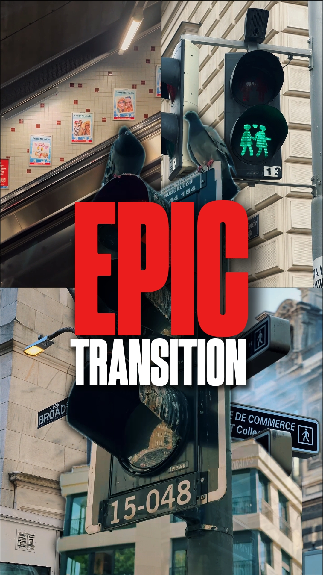EPIC TRANSITION 4K 
