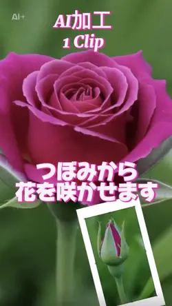 つぼみから花を咲かせます