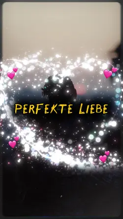 Perfekte Liebe Song