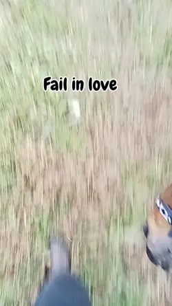 Fail in love 
