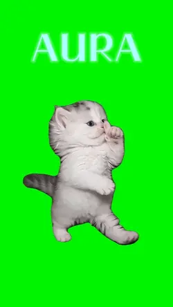 AURA KITTEN