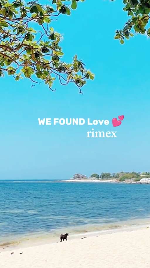 Nous avons trouvé l'amour 