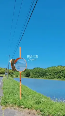 田舎の夏