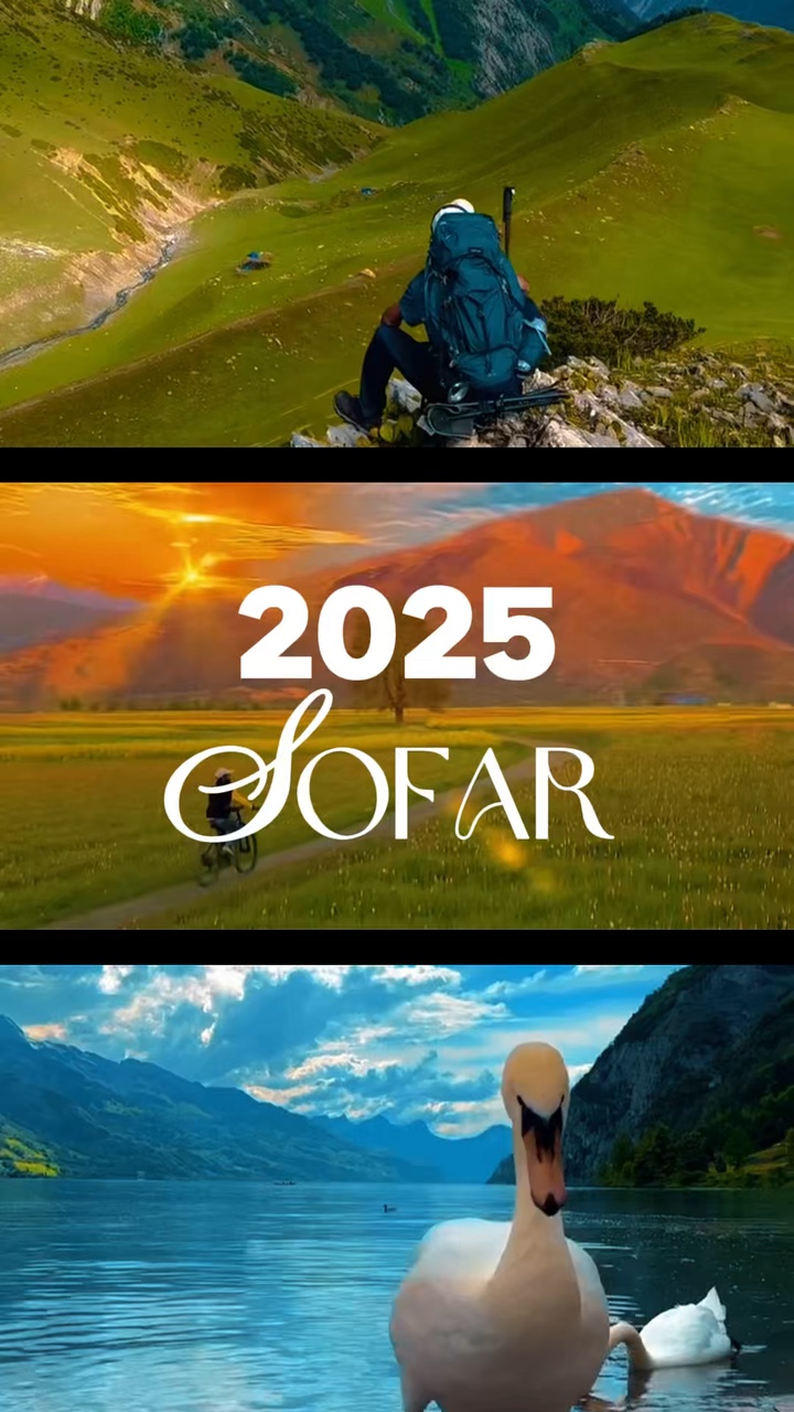 2025 hasta ahora