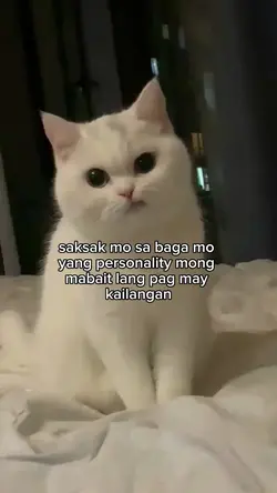 saksak mo sa baga mo