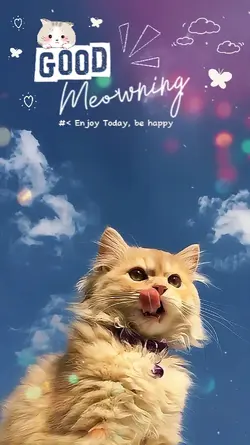Good Meowning
