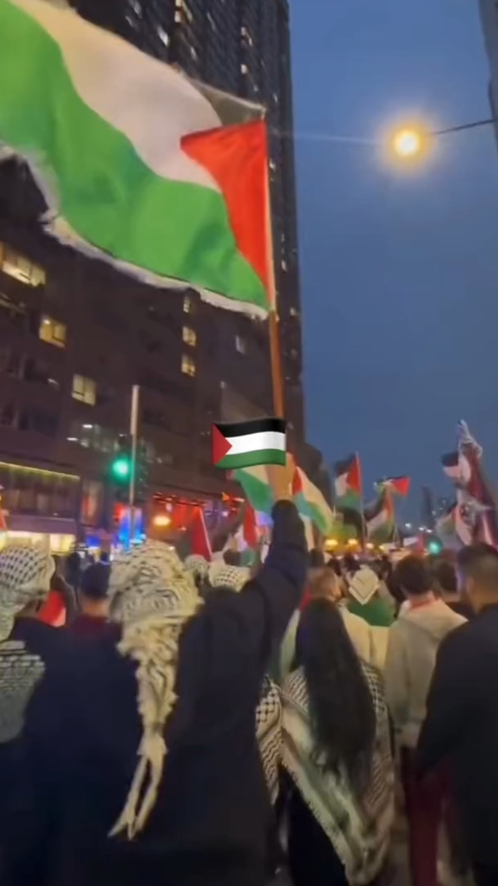 Free Free Palastine🇵🇸