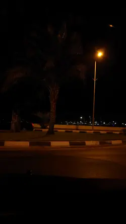 ياويلي ويناري 