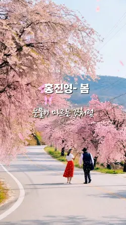 홍진영-봄