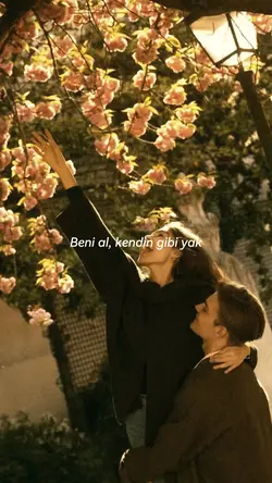 Seni görene kadar