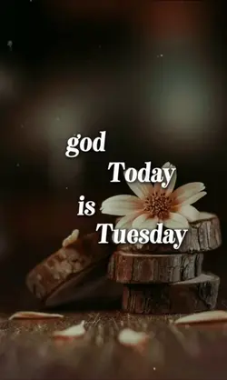 Tuesday Blessings