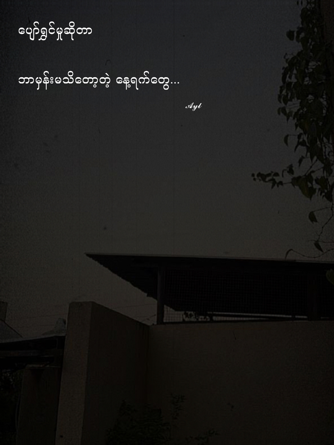 Cover Picture