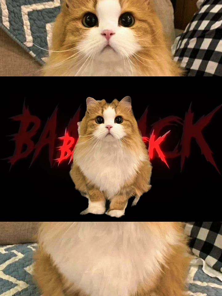 He's Back