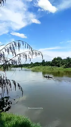 Alam