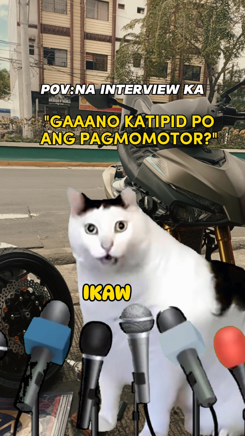 Kedi Röportajı