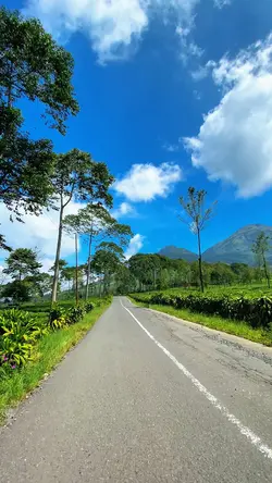 📍Kebun Teh Bedakah