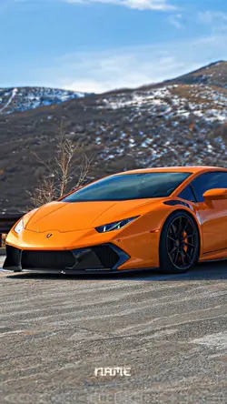 LAMBORGHINI