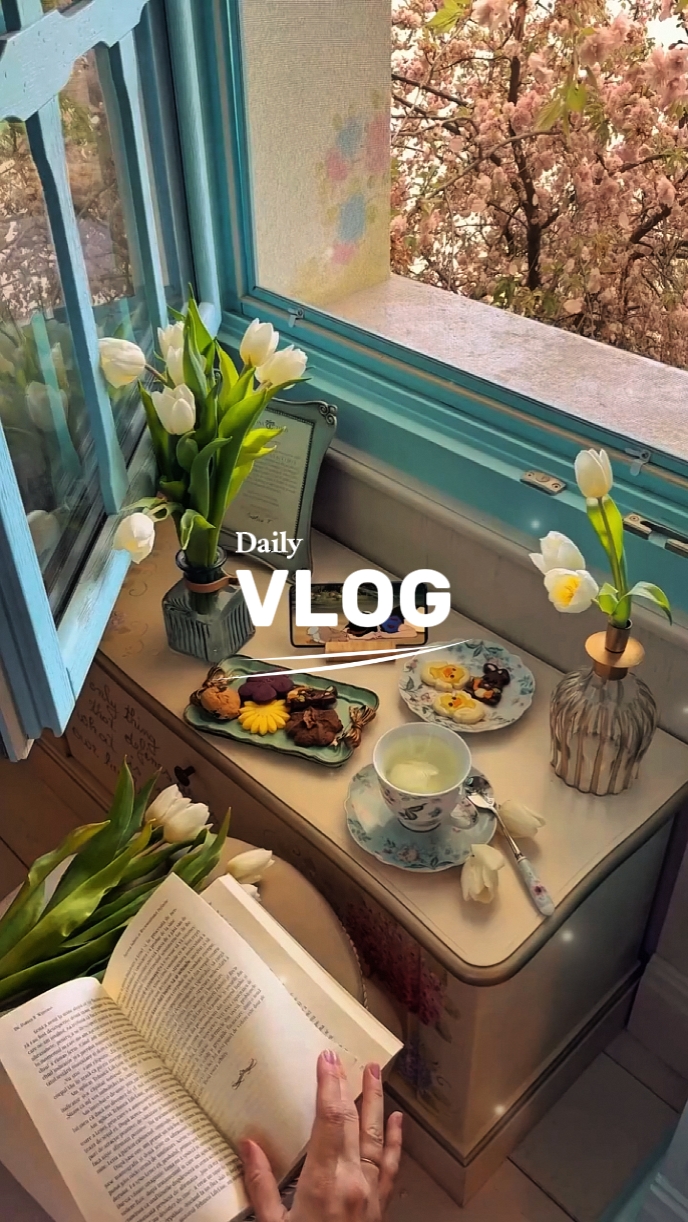 DAILY VLOG 