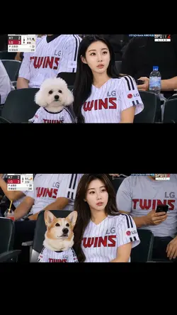 야구장직캠