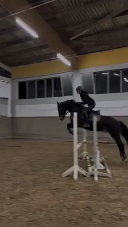 PAPARAZZI SLOWMO 4K❤️‍🔥