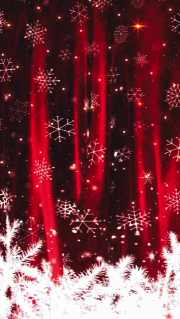 Navidad