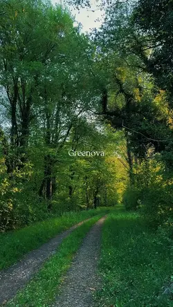 Greenova