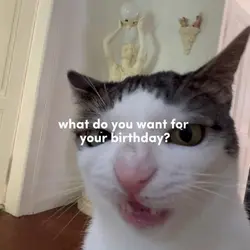 what do you want for