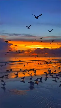 Slowmotion