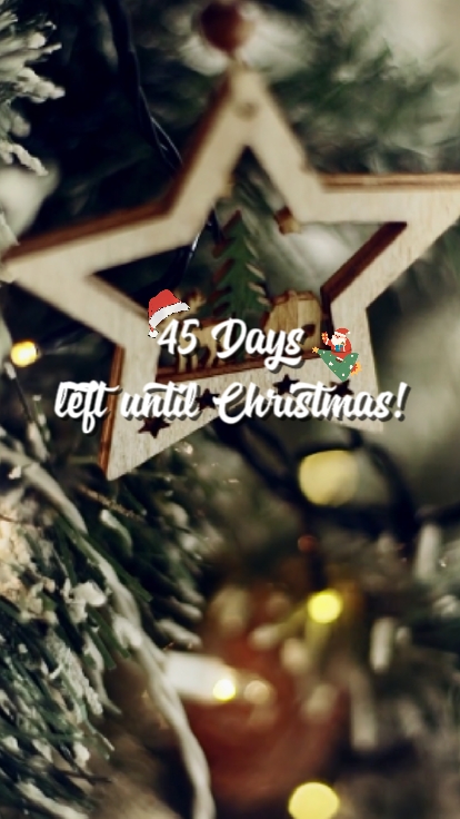 Days Until Christmas