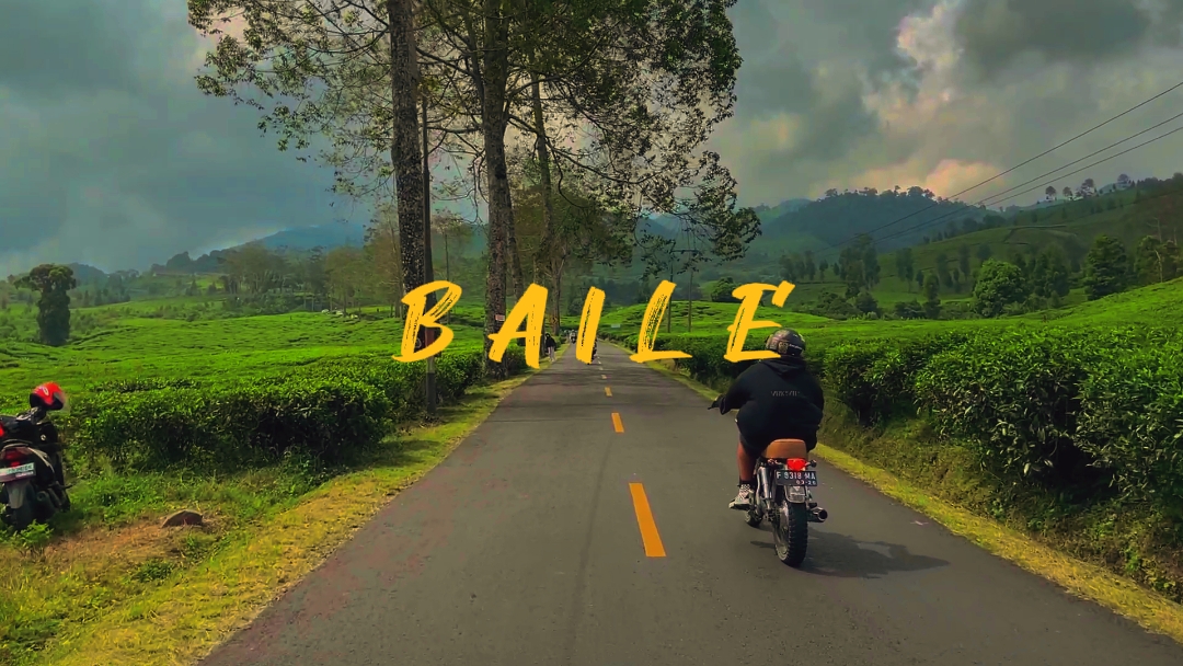 BAILE BAILE BAILE