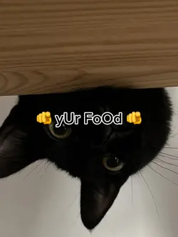 i WaNt fOoD 🍽️