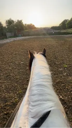 my living legend❤️‍🩹