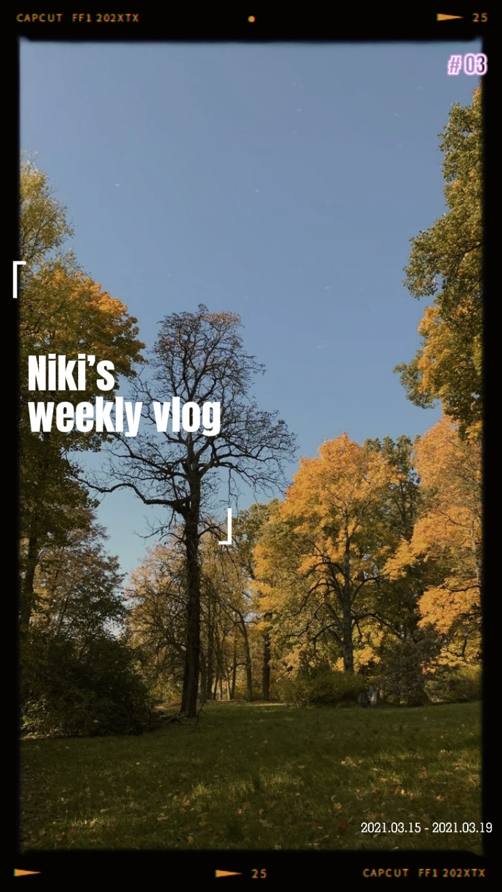 Mini vlog 