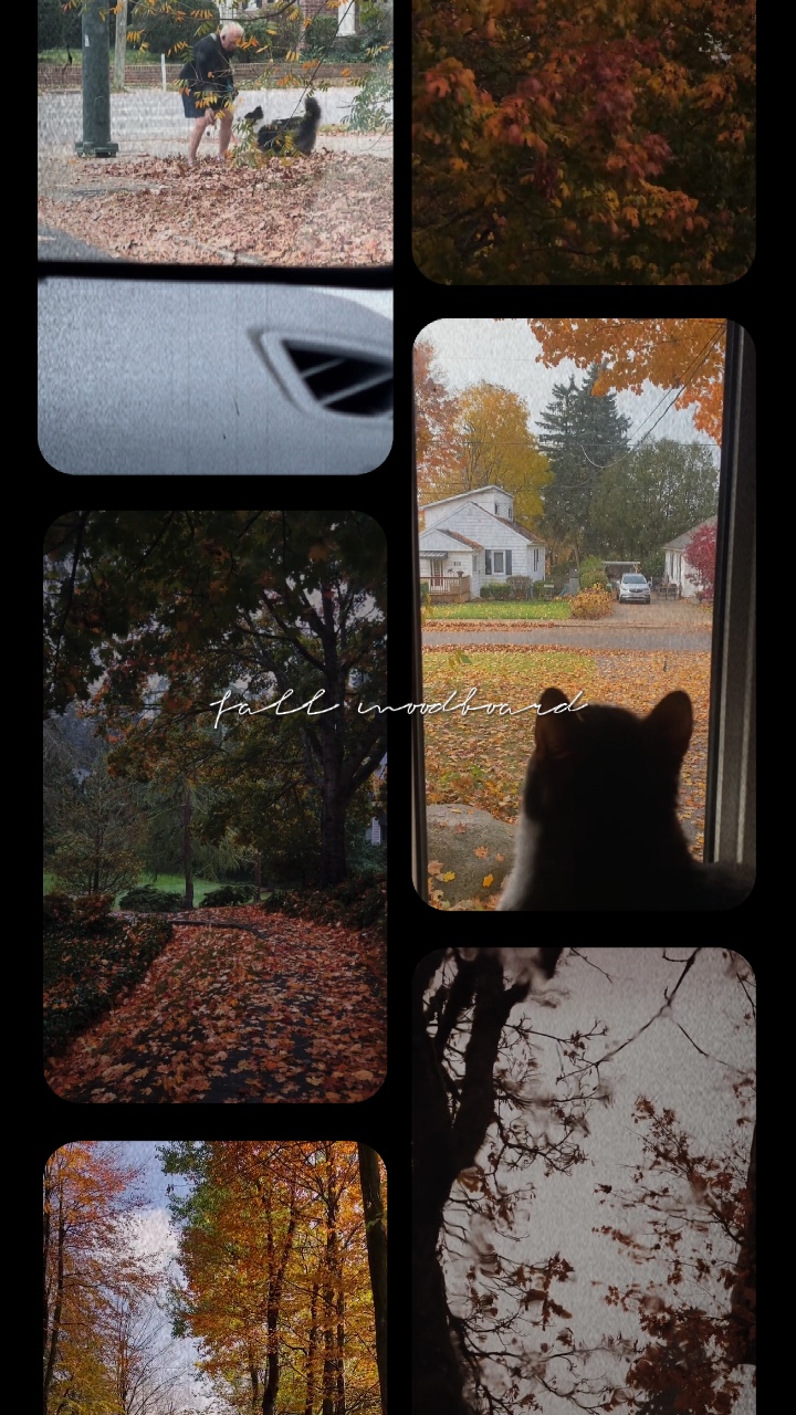 Autumn film🎞