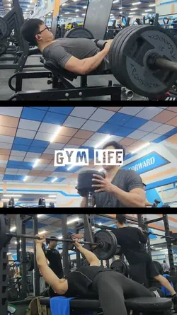 Gym life