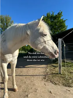 Wie fliegen ✈️👀