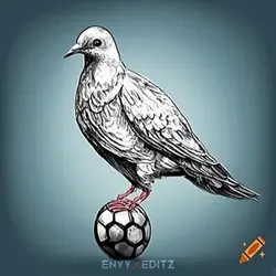 Spurs X Pigeon 