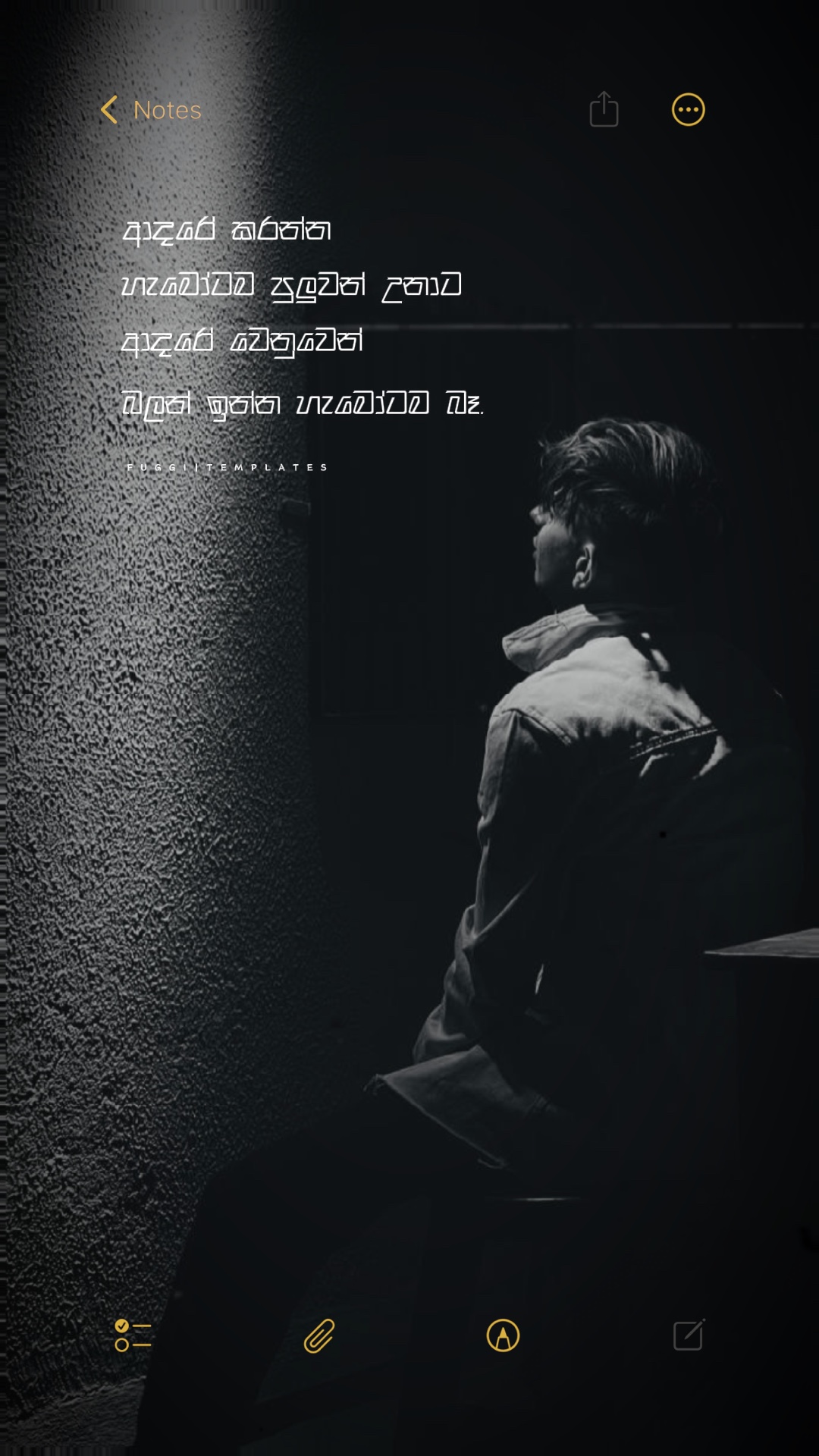 Cover Picture
