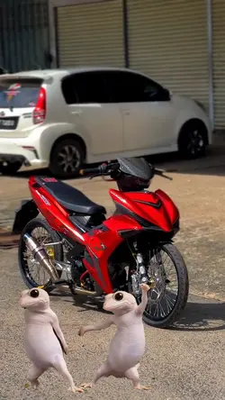 ចេញមកលេងទាំងគូហ្មង