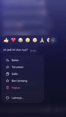 oh jadi ini duo nya