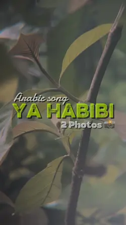 YA HABIBI 