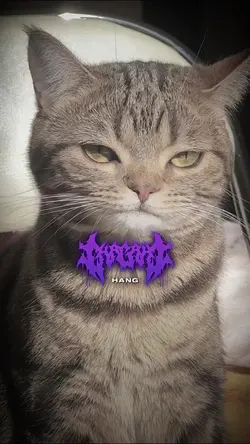 3รูป กำลังฮิต