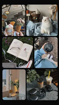 AESTHETIC