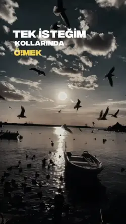 Tek isteğim 