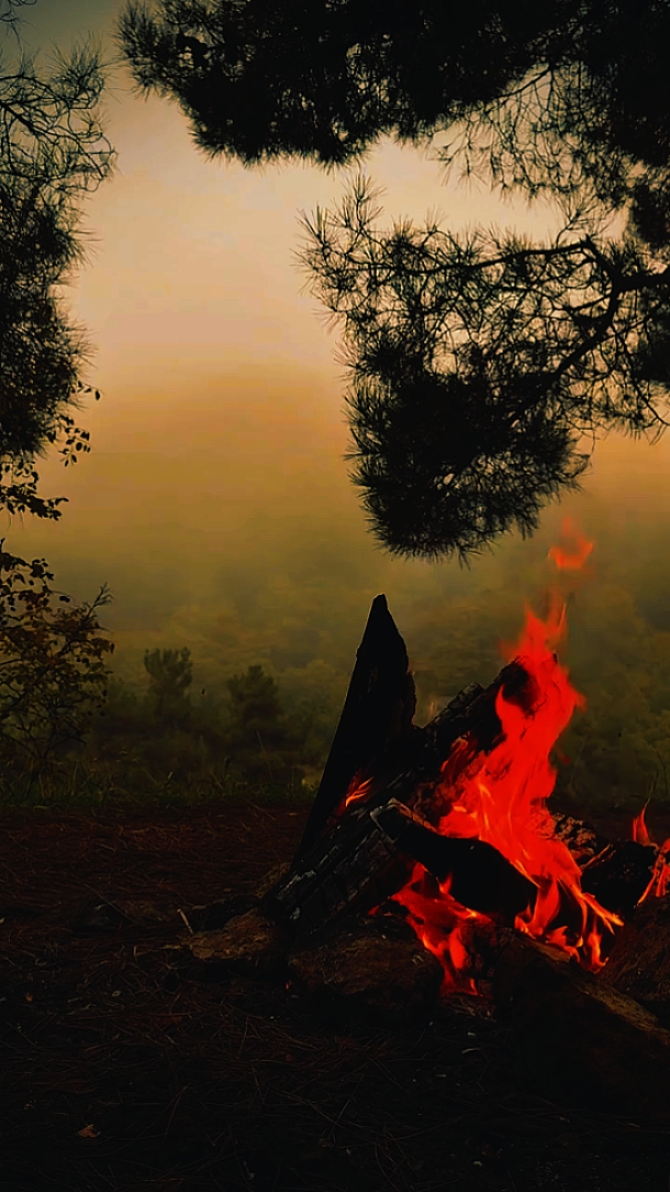 Nature • Cinematic
