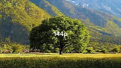 144P -2K