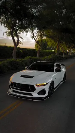 CAR STORYS