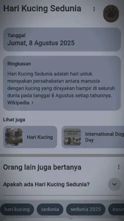 hari kucing sedunia 