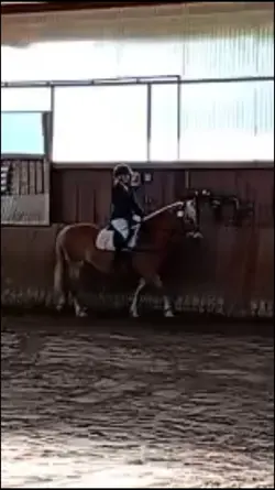 Leben ohne Schule 
