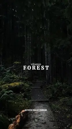 Forest for rest 